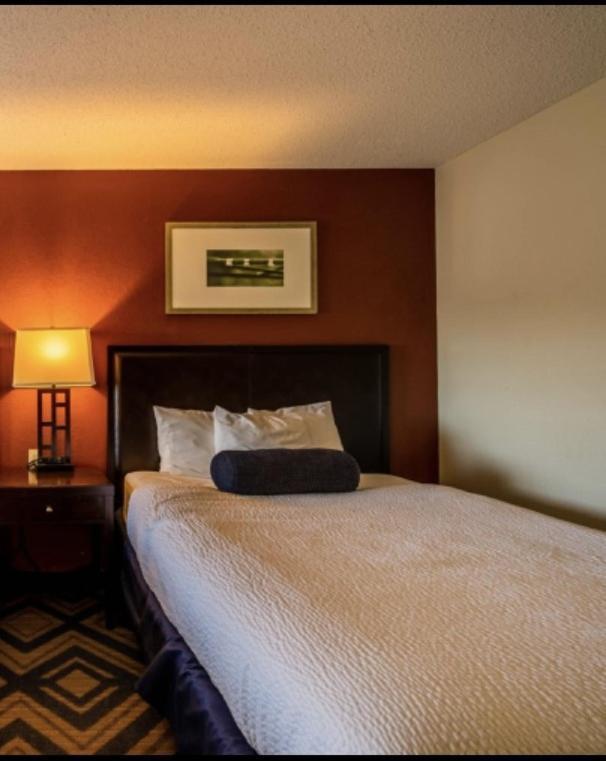 The Patch Lodge Warroad 외부 사진